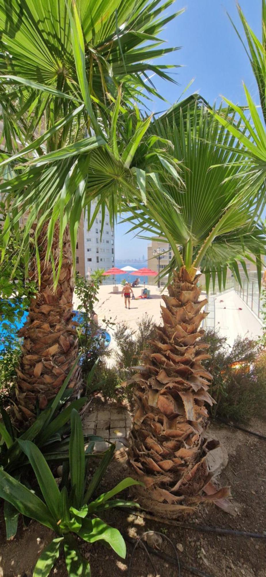 Nice Stay Trinisol 2 貝尼多姆 外观 照片
